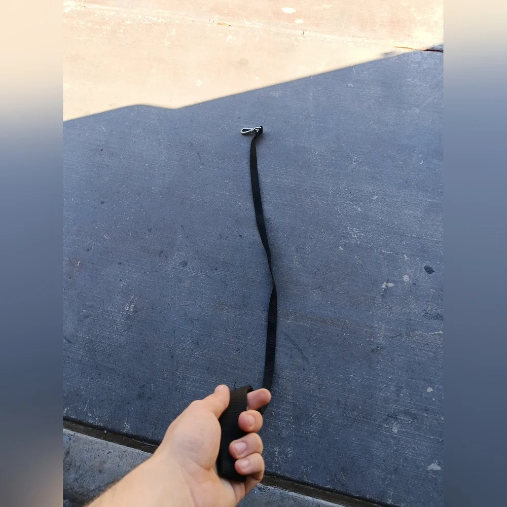 Black Dog Leash